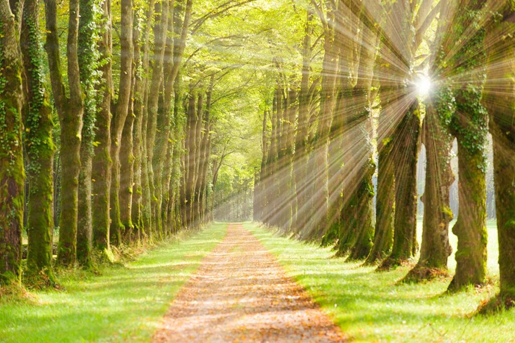 charting a course with finances